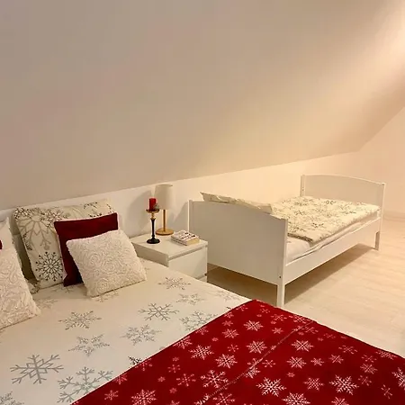 Dzeni * 弗拉西克