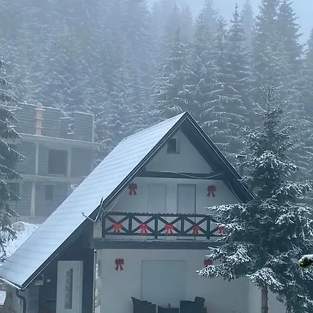 Dzeni * Власич
