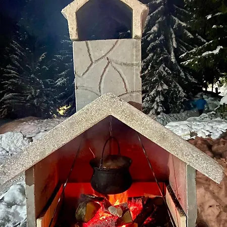 Dzeni * Власич