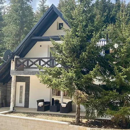 Dzeni * 弗拉西克